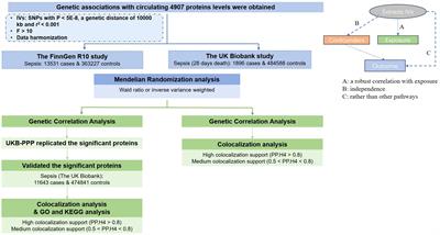 Utilize proteomic analysis to identify potential therapeutic targets for combating sepsis and sepsis-related death
